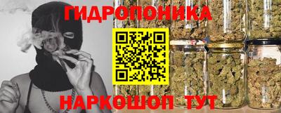 таблы Новозыбков