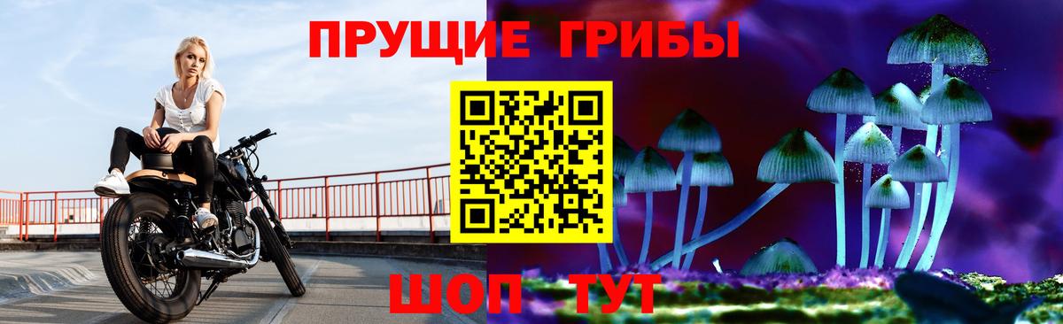 Псилоцибиновые грибы мухоморы Торжок